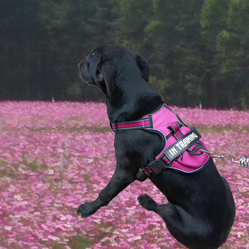 No-Pull Dog Pet Harness + Leash Reflective Control Adjustable Collar Handle