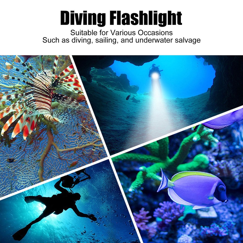 Diving Flashlight 80m Water Proof Dive Light Adjustable Brightness For Fish RRWI