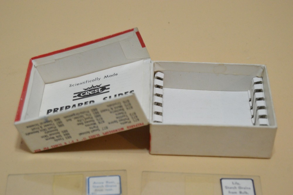 Vintage Crest Prepared Microscope Slides
