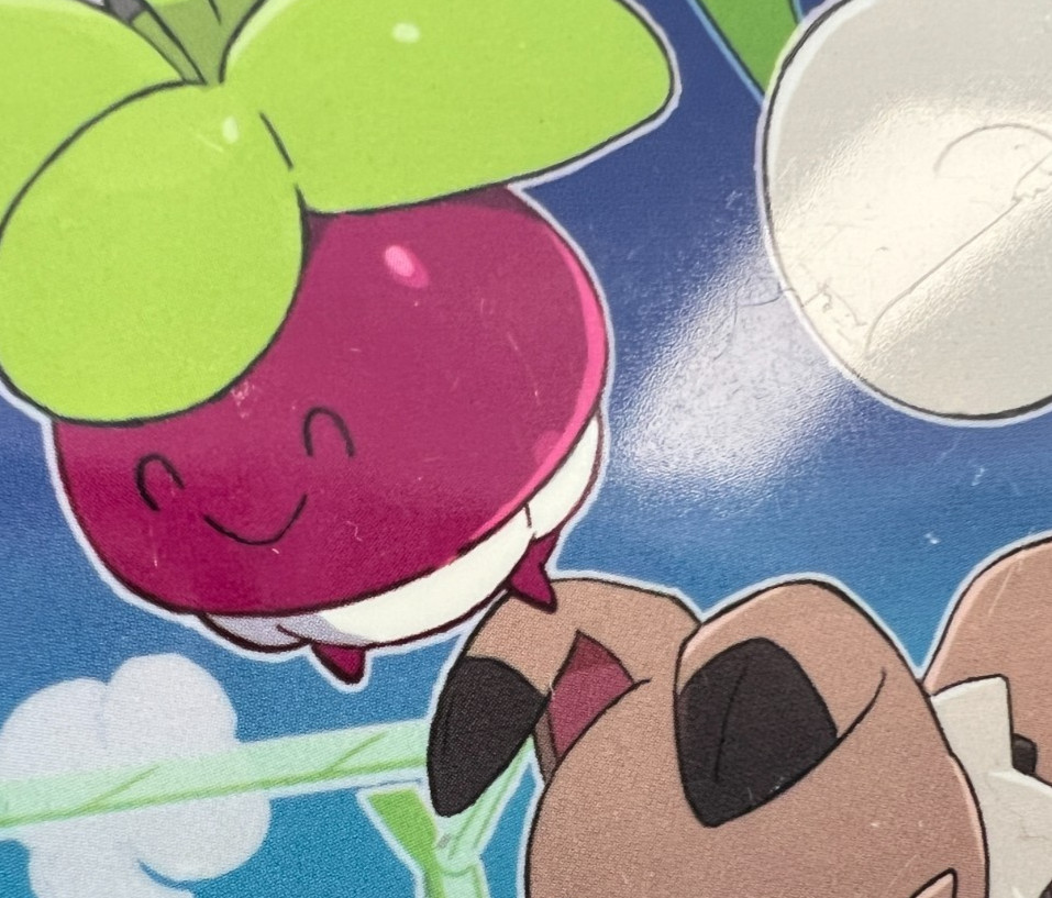 Pokemon Japanese Mallow's Cooking Double Deck Box!!