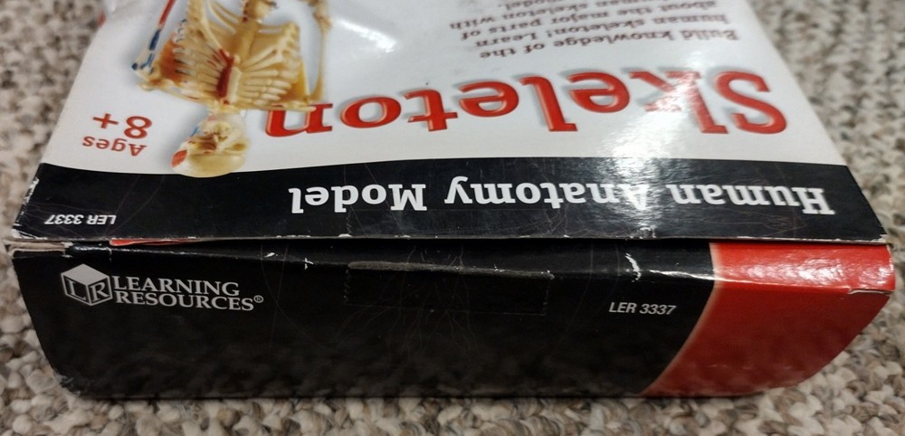 Skeleton, Human Anatomy Model By Learning Resources, Complete, Damaged Box