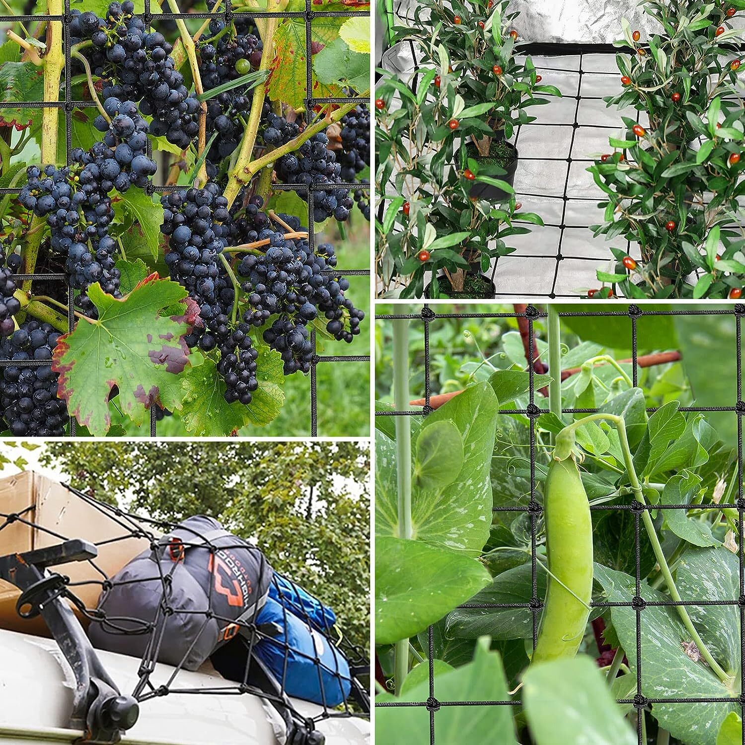 VIVOSUN 2x4'/3x3'/4x4' Elastic Trellis Netting 3mm thick for Grow Tent Gardening