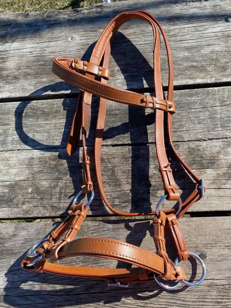 Padded leather Western horse training side pull