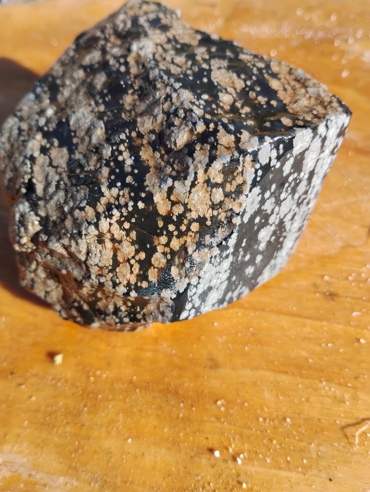 Snowflake Obsidian Rough Specimen