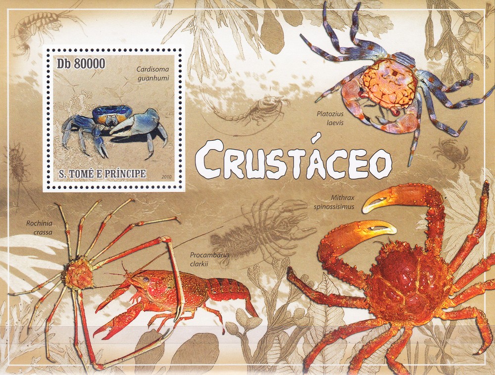 W SAINT-THOMAS 2323 CRUSTACEANS