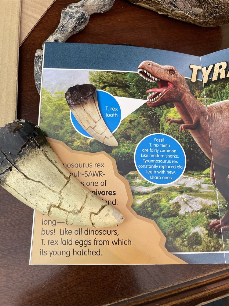 Amazing Dinosaurs! Exploration Kit Lakeshore Learning