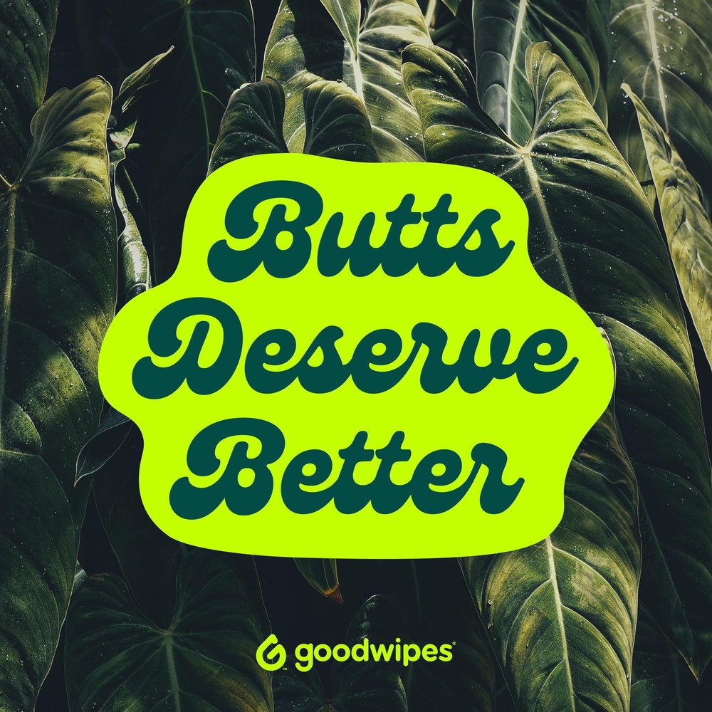 Flushable Butt Wipes - Vitamin E & Aloe - Sewer & Septic Safe - Extra Large A...