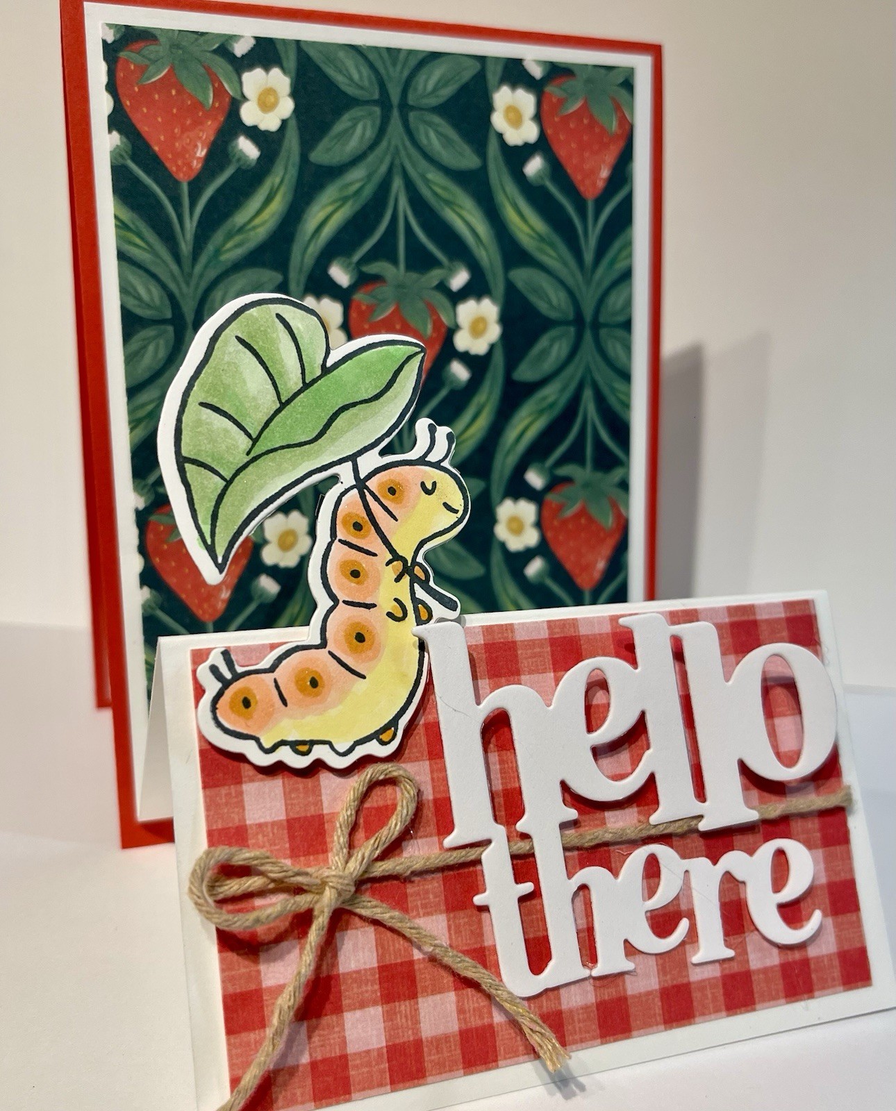 4 Stampin Up! SWEET BUGS  “Hello There”  Picnic Fun Double Fold DIY Card Kit