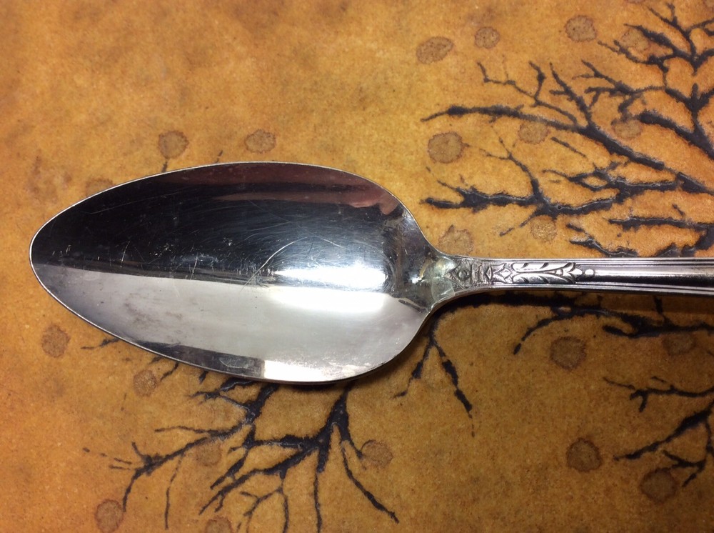 Vintage Wm. A. Rogers A1Plus Spoon Oneida LTD O2