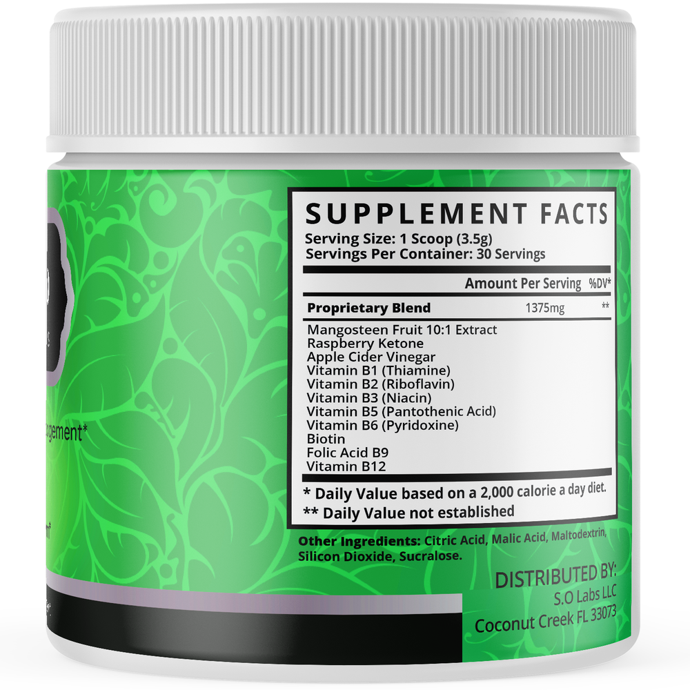 Fast Lean Pro Powder Weight Management Support Shake Support Metabolism (5 Pack)