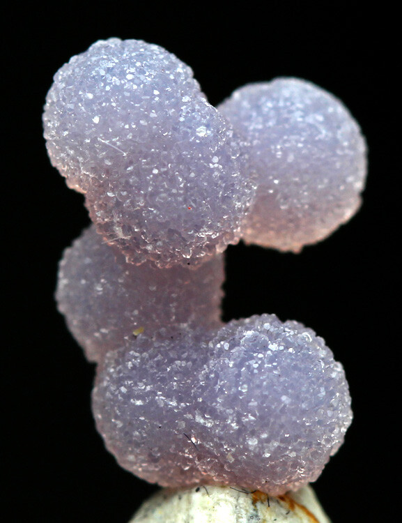 GRAPE AGATE Specimen Chalcedony Crystal Cluster Mineral INDONESIA w/ ID card