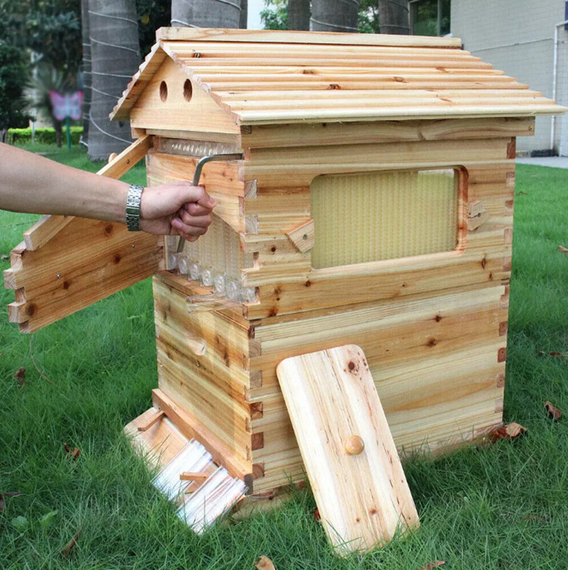 Auto Drain Honey Bee Hive Bee Boxes Beehive Starter Kit +7 Beekeeping Frames New