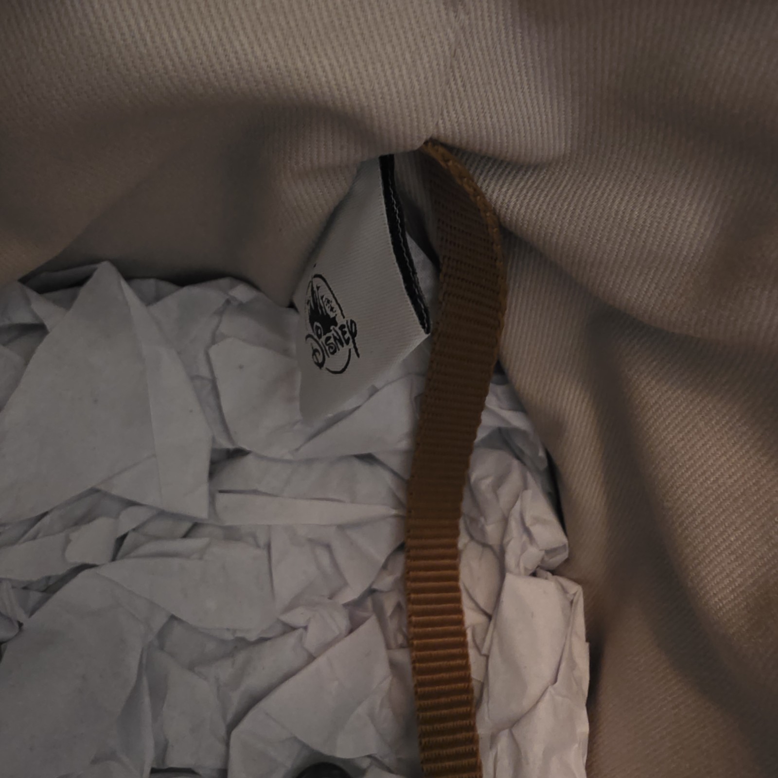 Disney Dooney & Bourke Haunted Mansion Tote Bag D23 Expo Ghost Bride Rare NWT