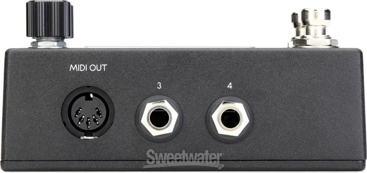 Walrus Audio Canvas MIDI Clock Pedal