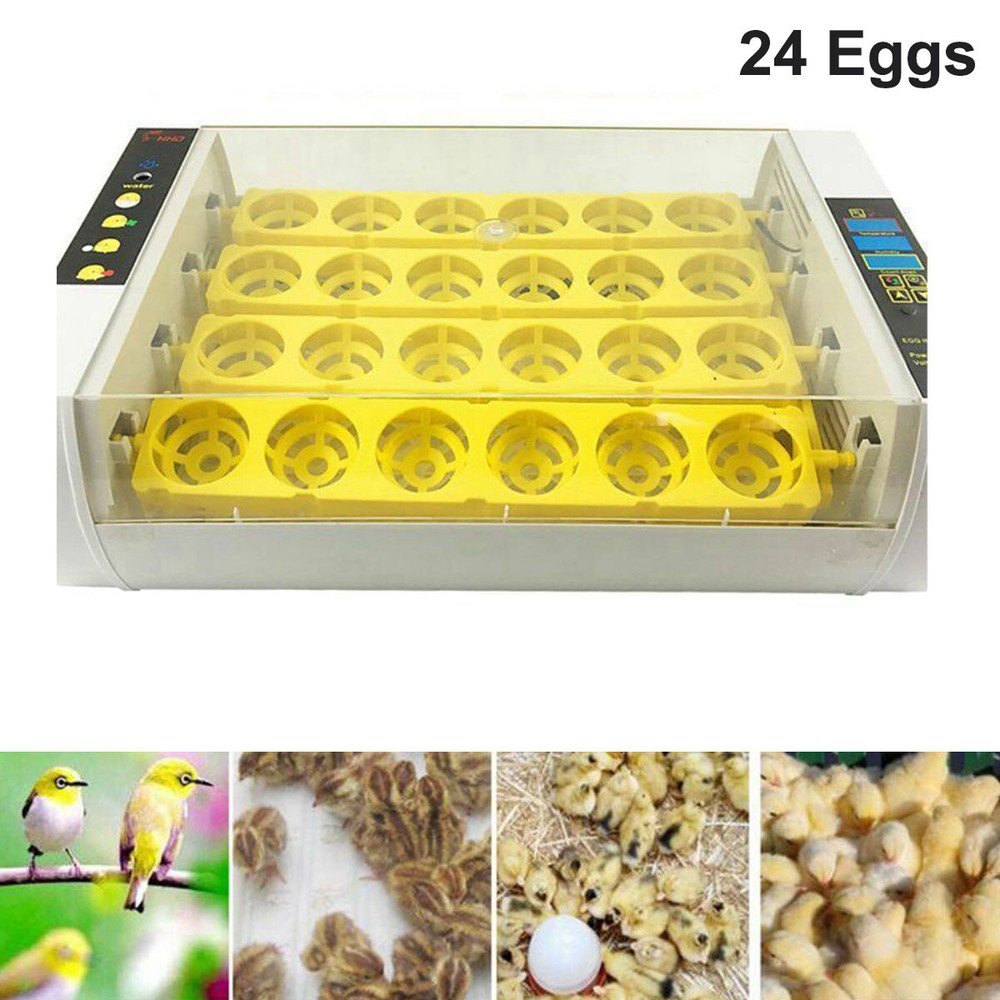 4-24 Eggs Incubator Automatic Chicken Quail Hatcher Incubators for Hatching Eggs