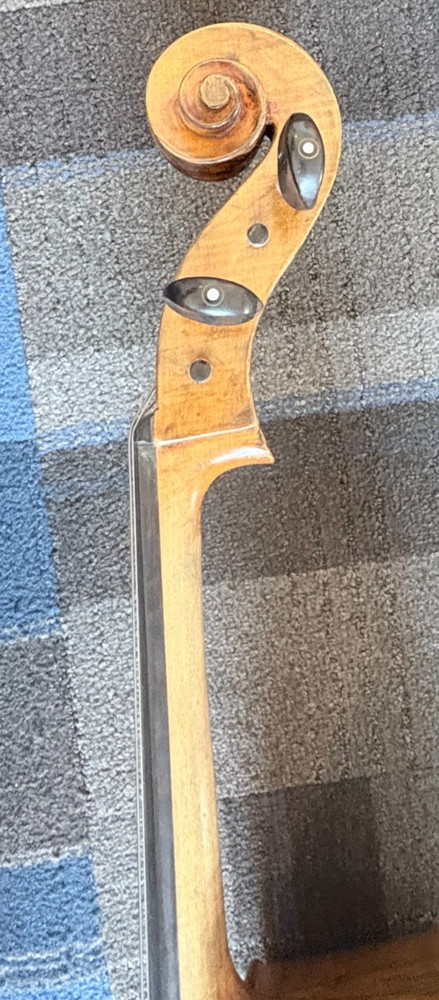 Tomasucci Cigno Old Italy 4/4 Cello