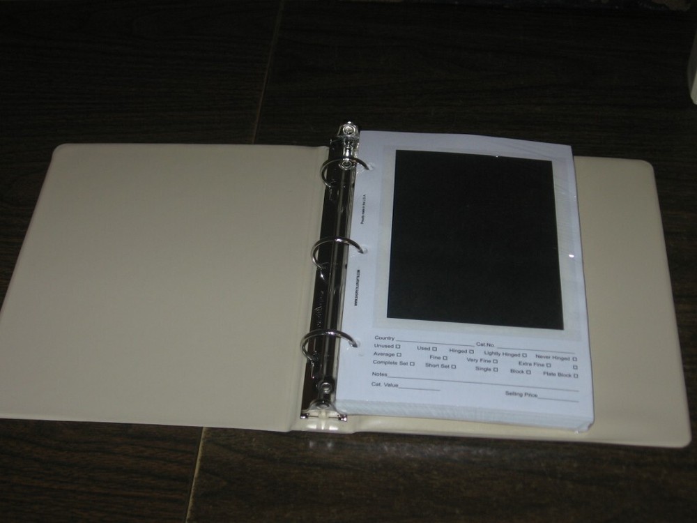 100 Glassine Stock Pages Ivory Album Binder Display US Stamp Plate Blocks