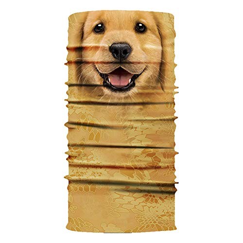 Vibrant Performance 2687 Concentric Reducer