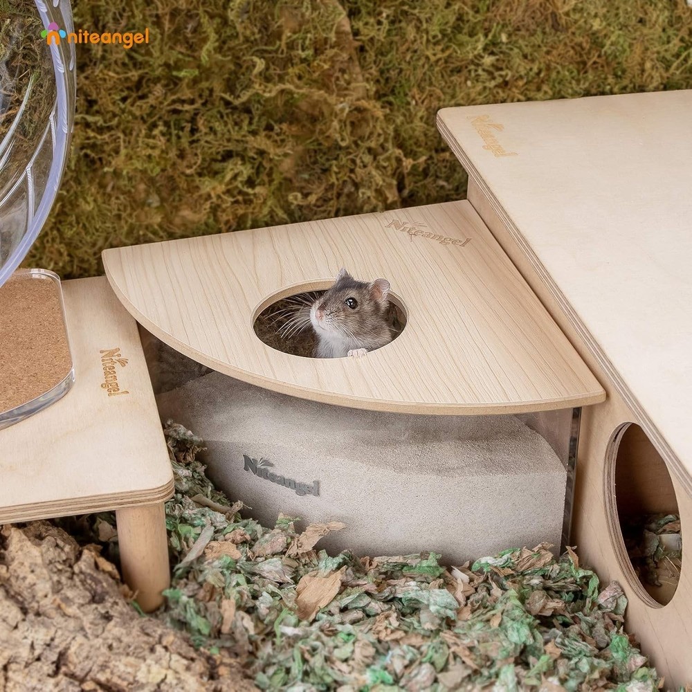 Triangle Acrylic Hamster Sand Bath Container with Removable Lid for Small Pets