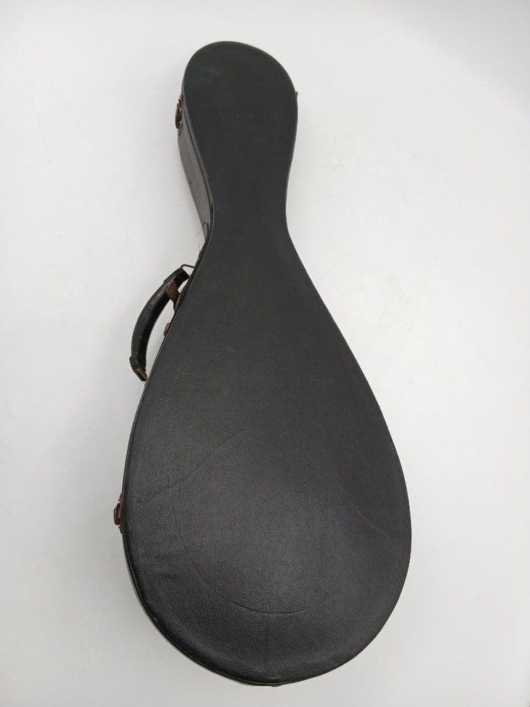 Suzuki violin mandolin with hard case