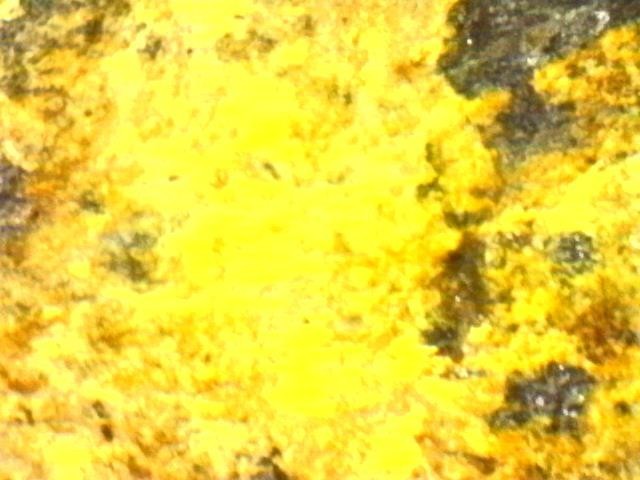 Gold and Platinum Mineral Specimen/ Black Hills South Dakota