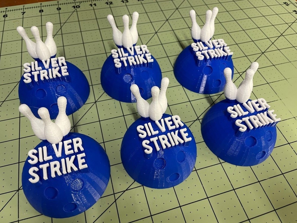 Silver Strike Bowling Ball Dust Cover NEW