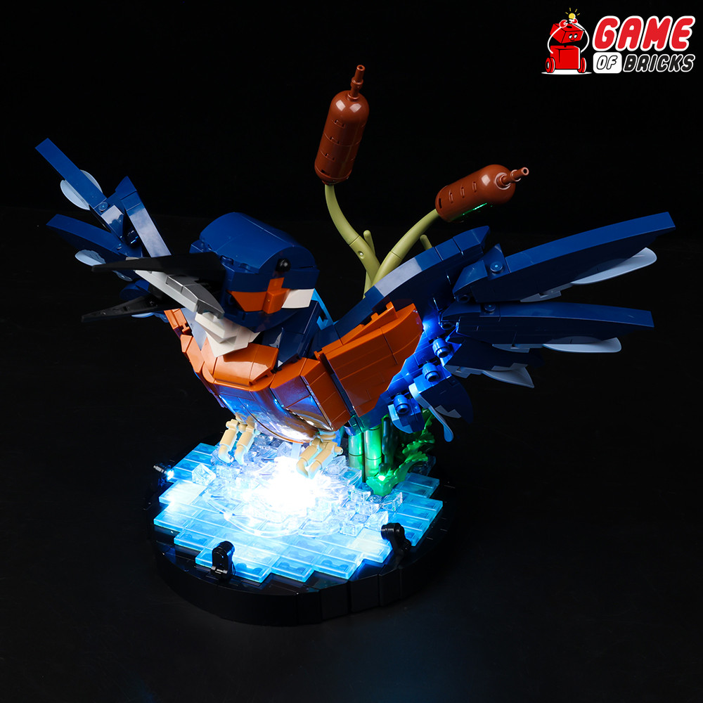 LED Light Kit forKingfisher Bird - Compatible with LEGO® 10331 set