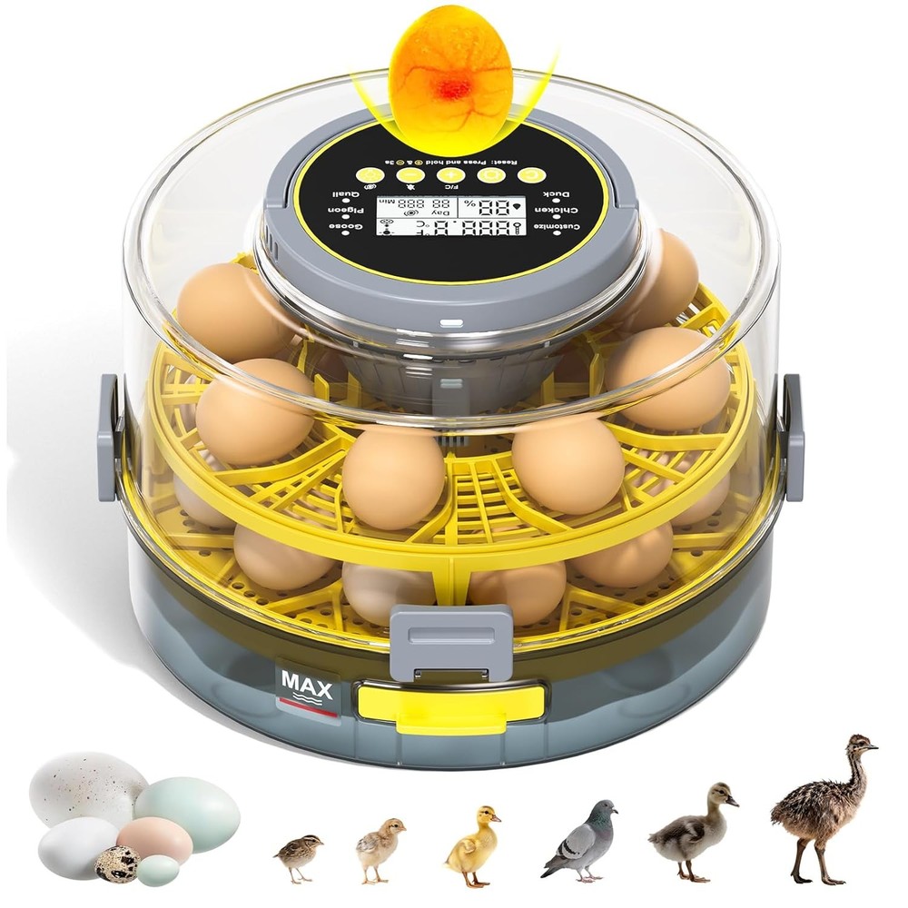 20 Egg Incubator with Auto Rotation, Temperature & Humidity Control