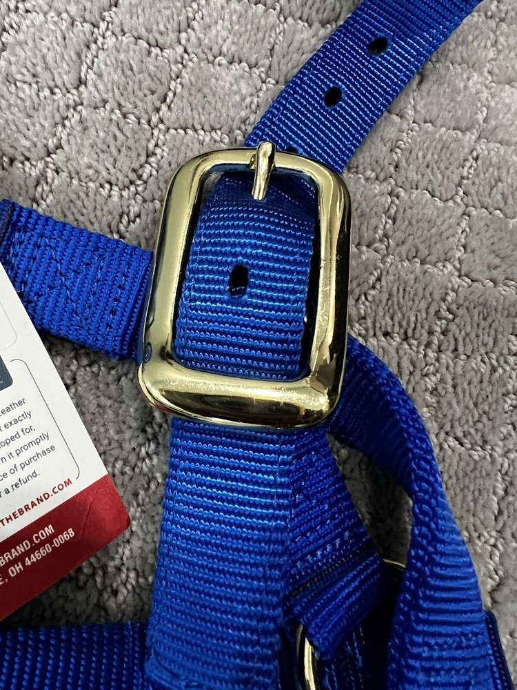 Weaver Leather Blue Basic Non-Adjustable Nylon Horse Halter, 1" Size: Large New!