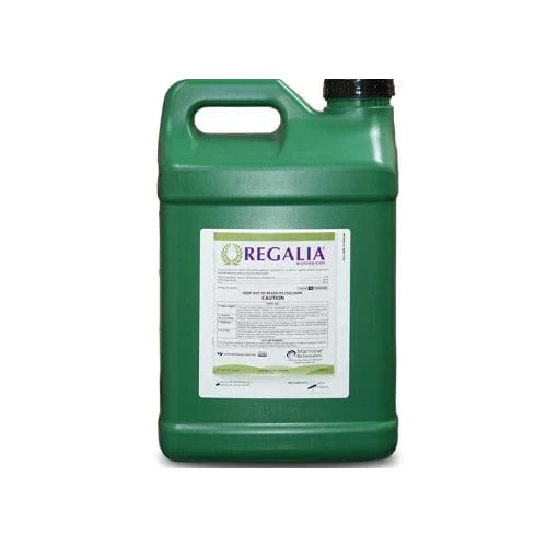 Marrone Regalia 2.5 Gallon