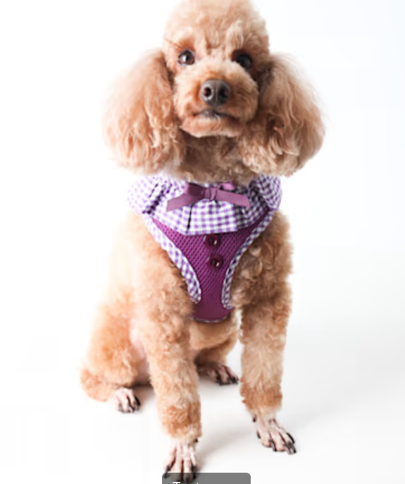 Puppia Dog Harness Purple Gingham M No Choke Over Head Breathable Mesh Medium