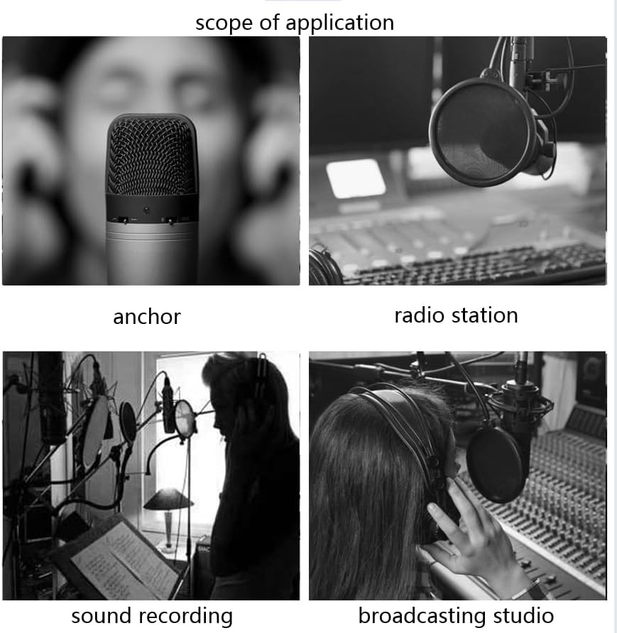 Professional Microphone Windproof and Spray Proof Cover, 6-Inch Double-Layer Win