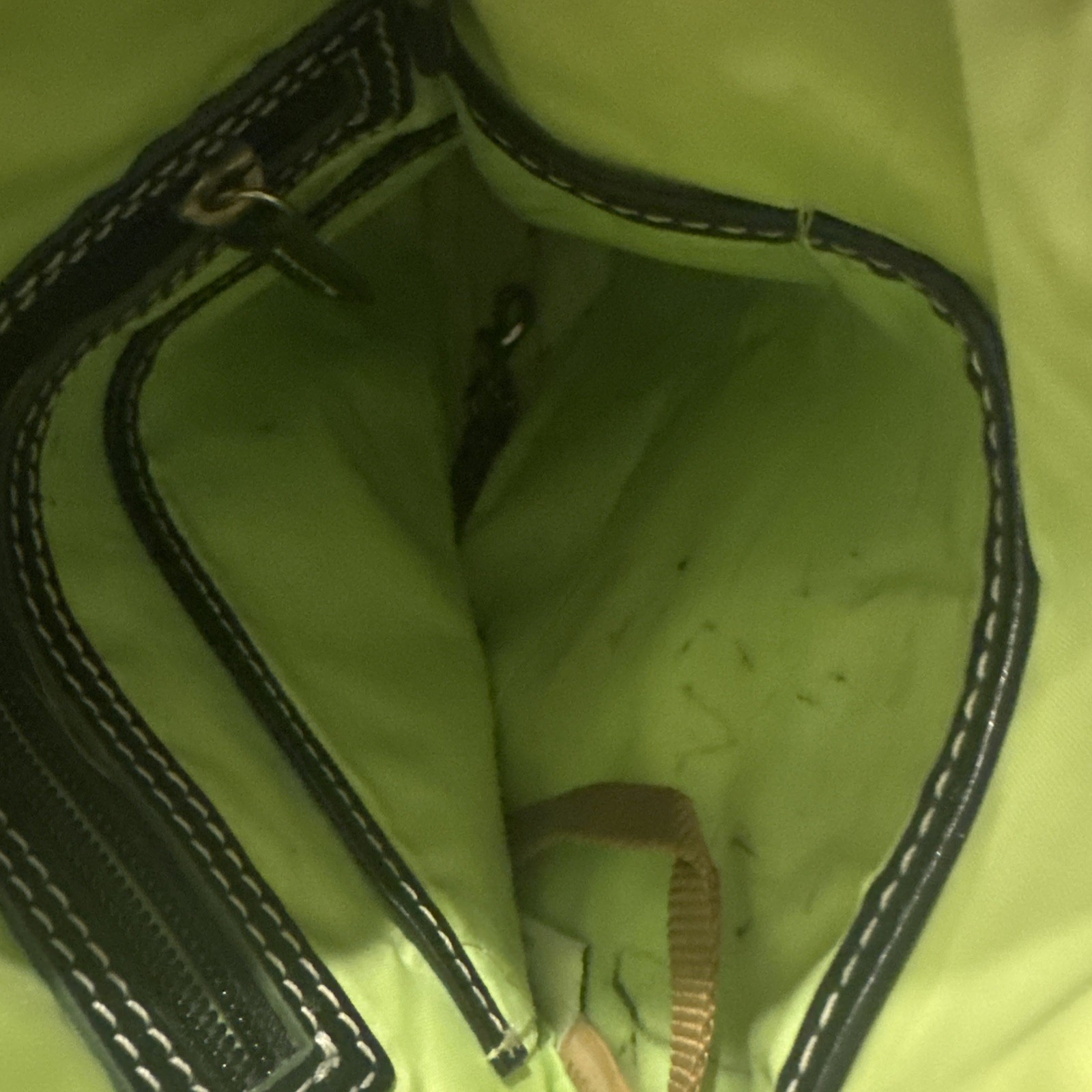 Dooney & Bourke Disney Haunted Mansion Portraits Crossbody Bag Purse *READ*