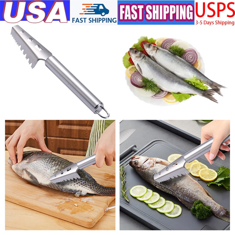 Fish Scaler Tool Stainless Steel Solid Construction Fish Scale Remover Kitchen