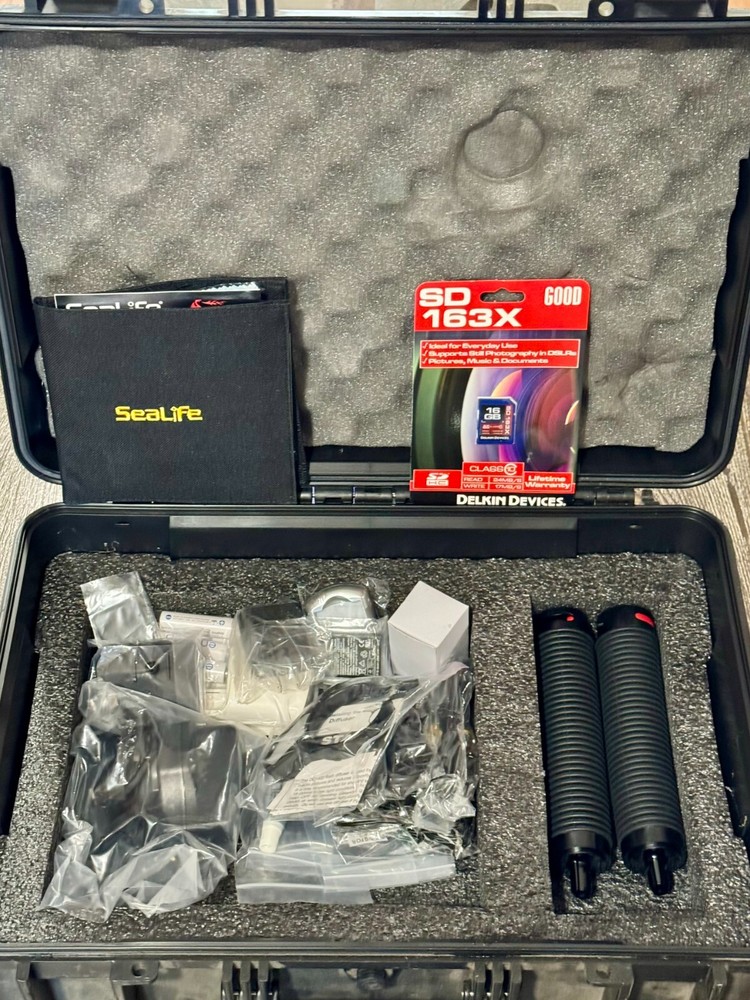 SeaLife DC 1400 Maxx Duo Camera Setup SL737