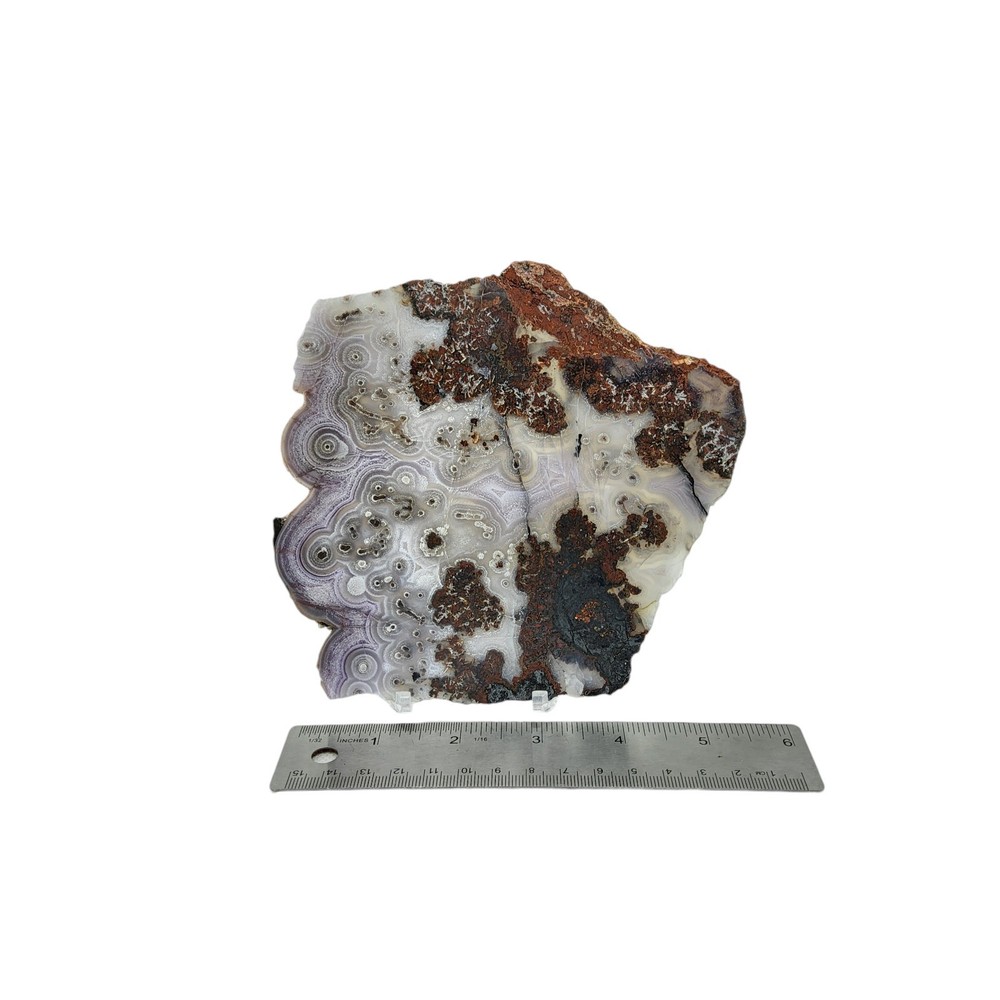 Laguna Agate, large slab, cabbing rough, #R-6957