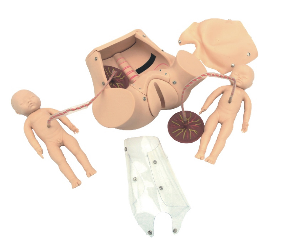 KAS/5A Childbirth Skill Training Simulator Display Model Training Manikin