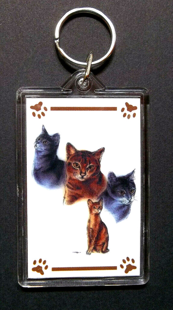 Abyssinian Cat Keychain 2"x 3" ~ New