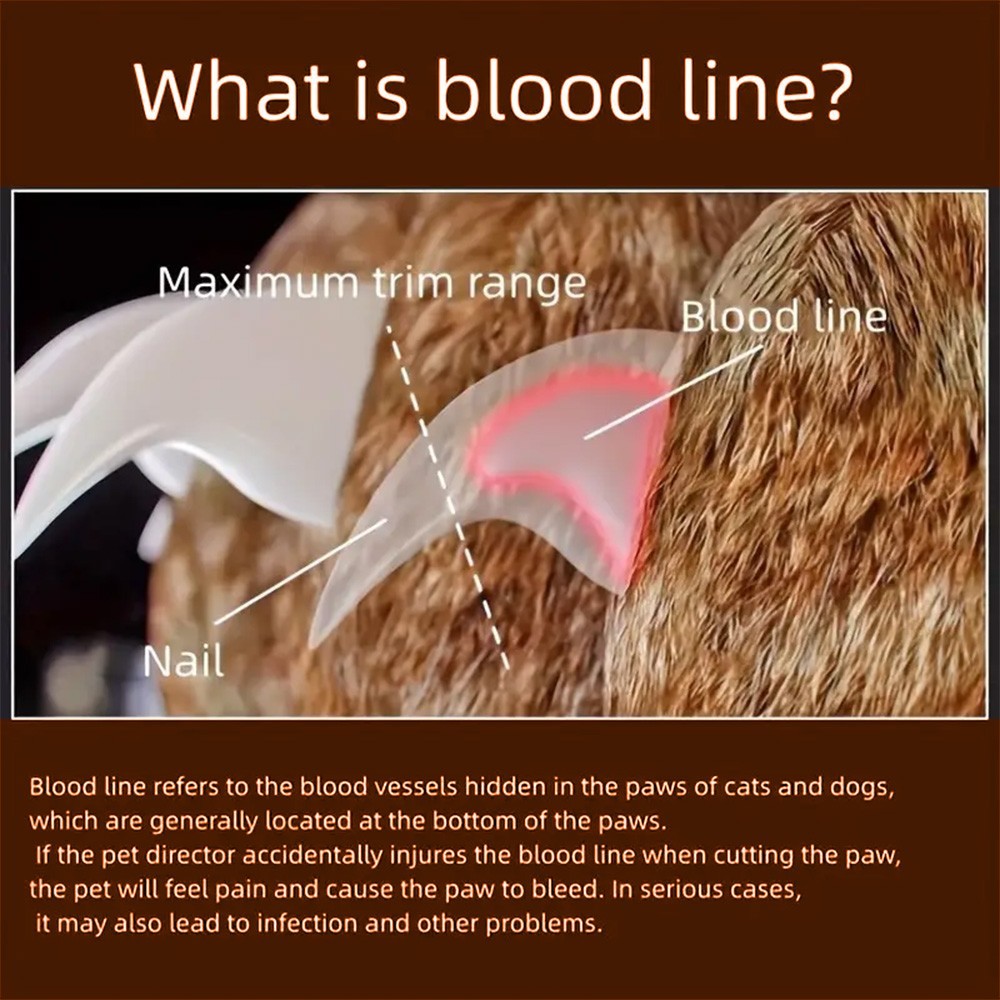 Pet Nail Scissors Dog Nail Cutter Cat Nail Clippers and Trimmers with Led Lights