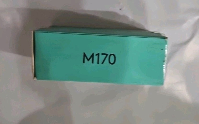 Logitech M170 Wireless Mouse - Blue