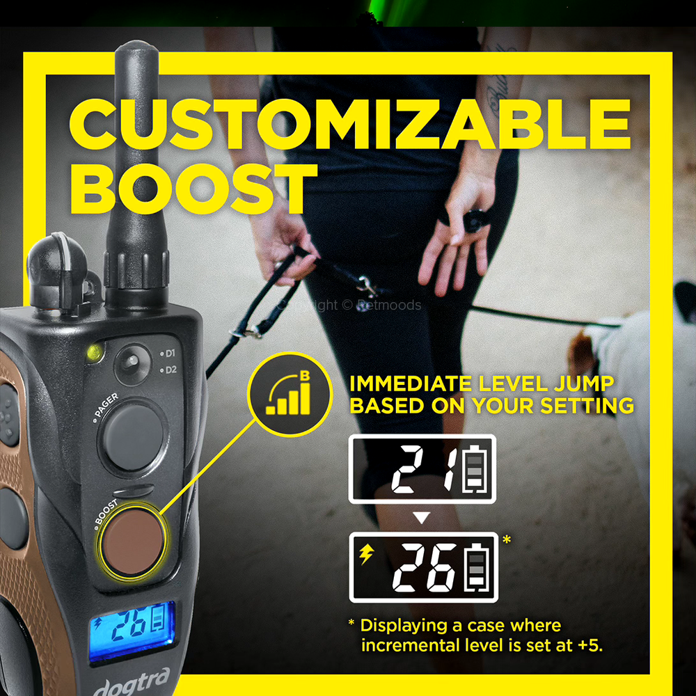 Dogtra 1902S HANDSFREE PLUS 2 Dog Remote Training Collars 3/4 Mi w/ Boost & Lock