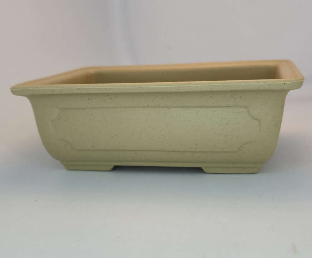 Assorted Plastic Training Bonsai Pot 6inx4in with Drainage Hole