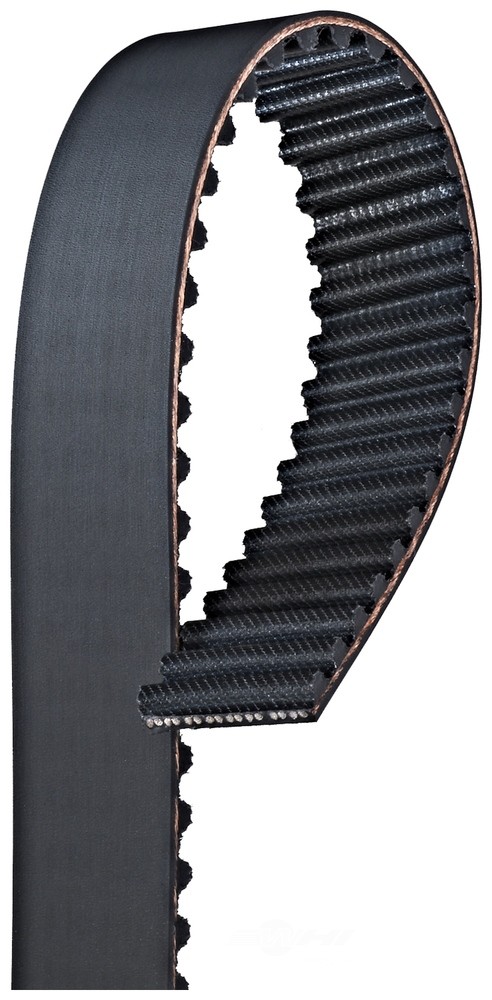Engine Timing Belt