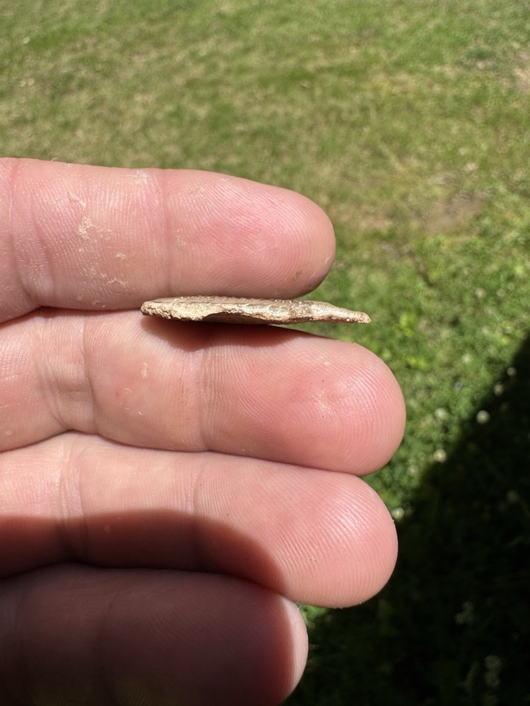Nice Trilobite Fossil