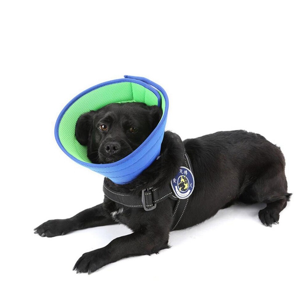 Pet Protective Collar Dog Cat Neck Cone Recovery Cone Collar for Anti-Bite Lick