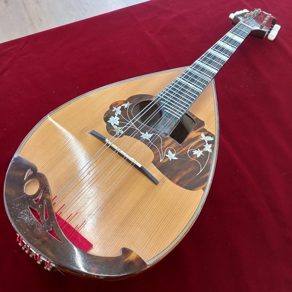 RAFFAELE CALACE NO.13 Mandolin