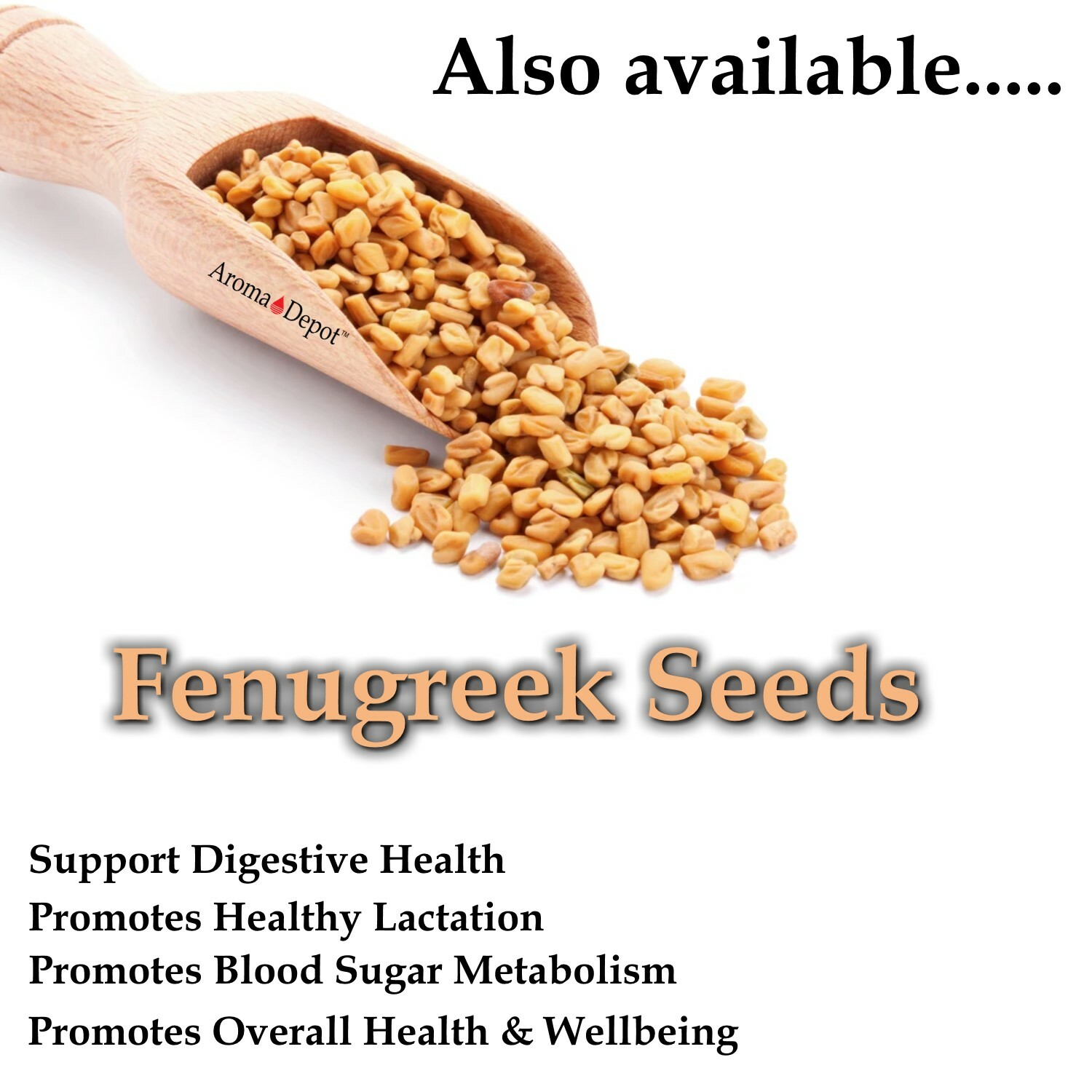 Fenugreek Seed Powder Trigonella foenum-graecum (Methi) Seed 100% Raw Bulk