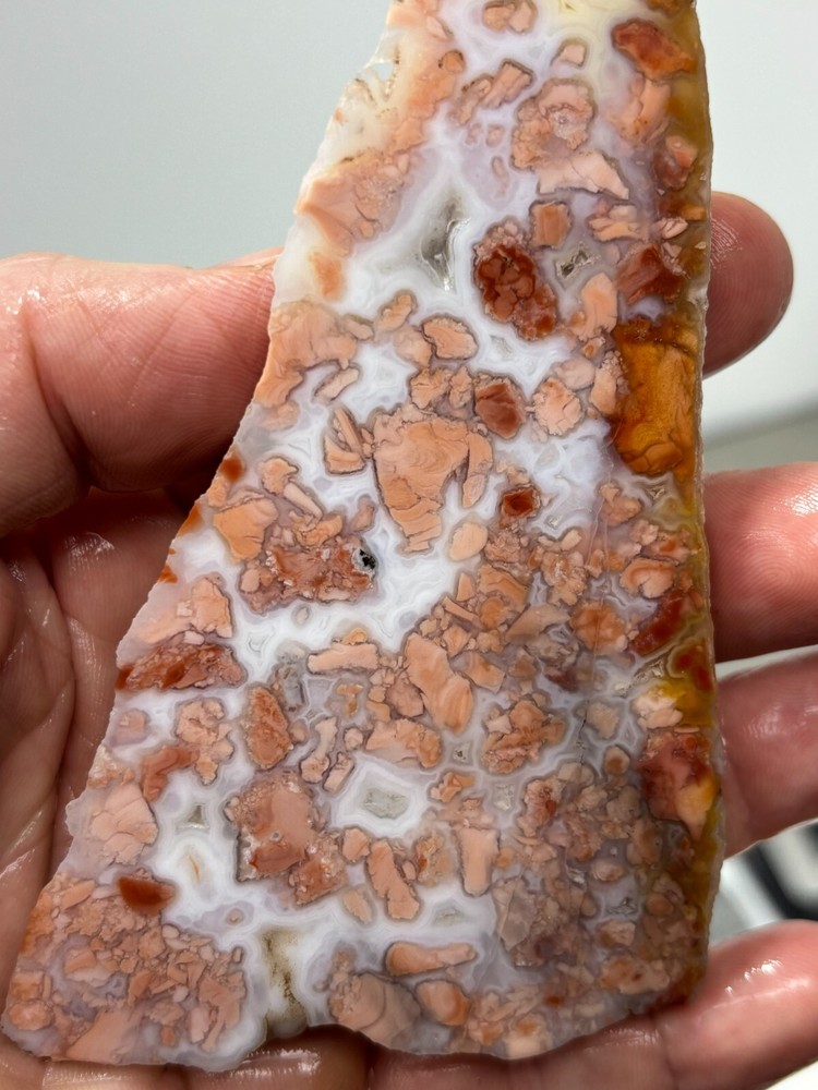 Cotton Candy Agate Slab Cabbing Lapidary Collecting Combo Ship Avail