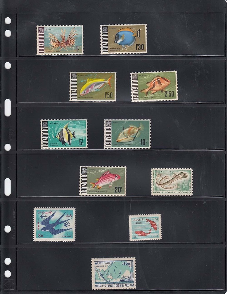 100 Lighthouse Vario 6S Stamp Stock Pages 6 Row Double Side Black Archival Sheet