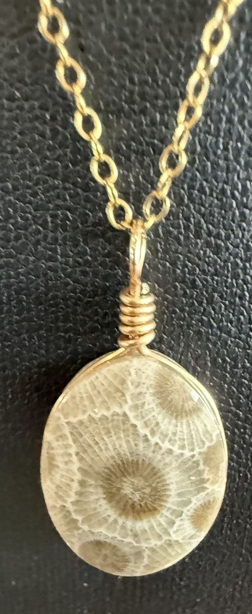 Petoskey Stone Hand Polished Pendant Necklace 1/20 GF 18” Chain